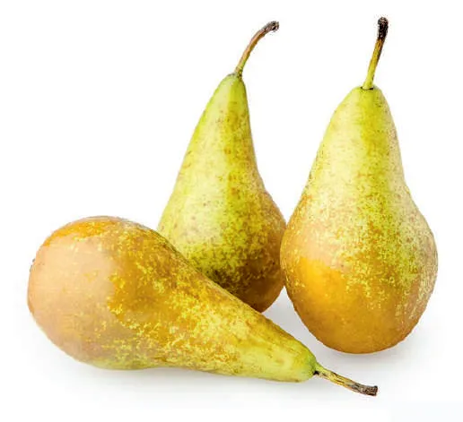 Imagen de fruto de Pera