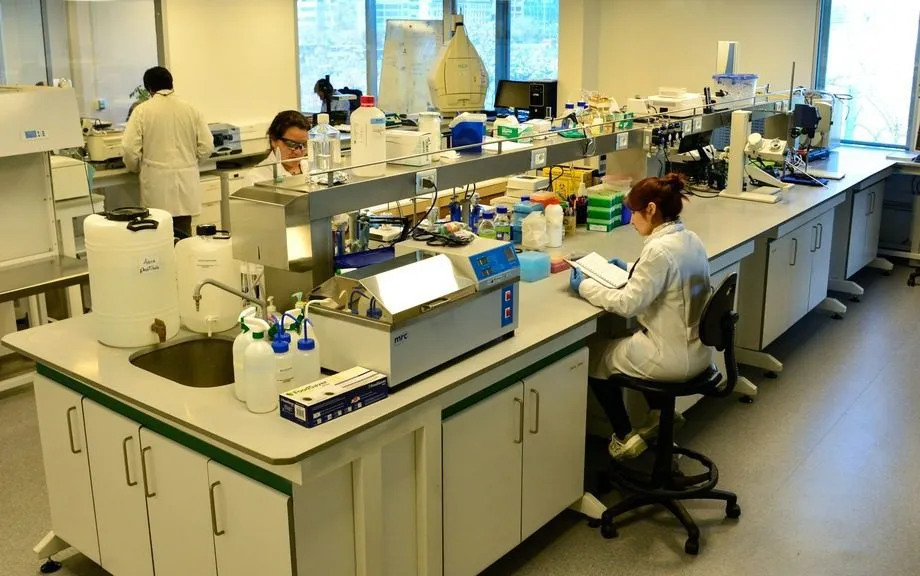 Imagen de Laboratorio de investigación con personal trabajando