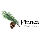 PINUS-PENIA-LOGO